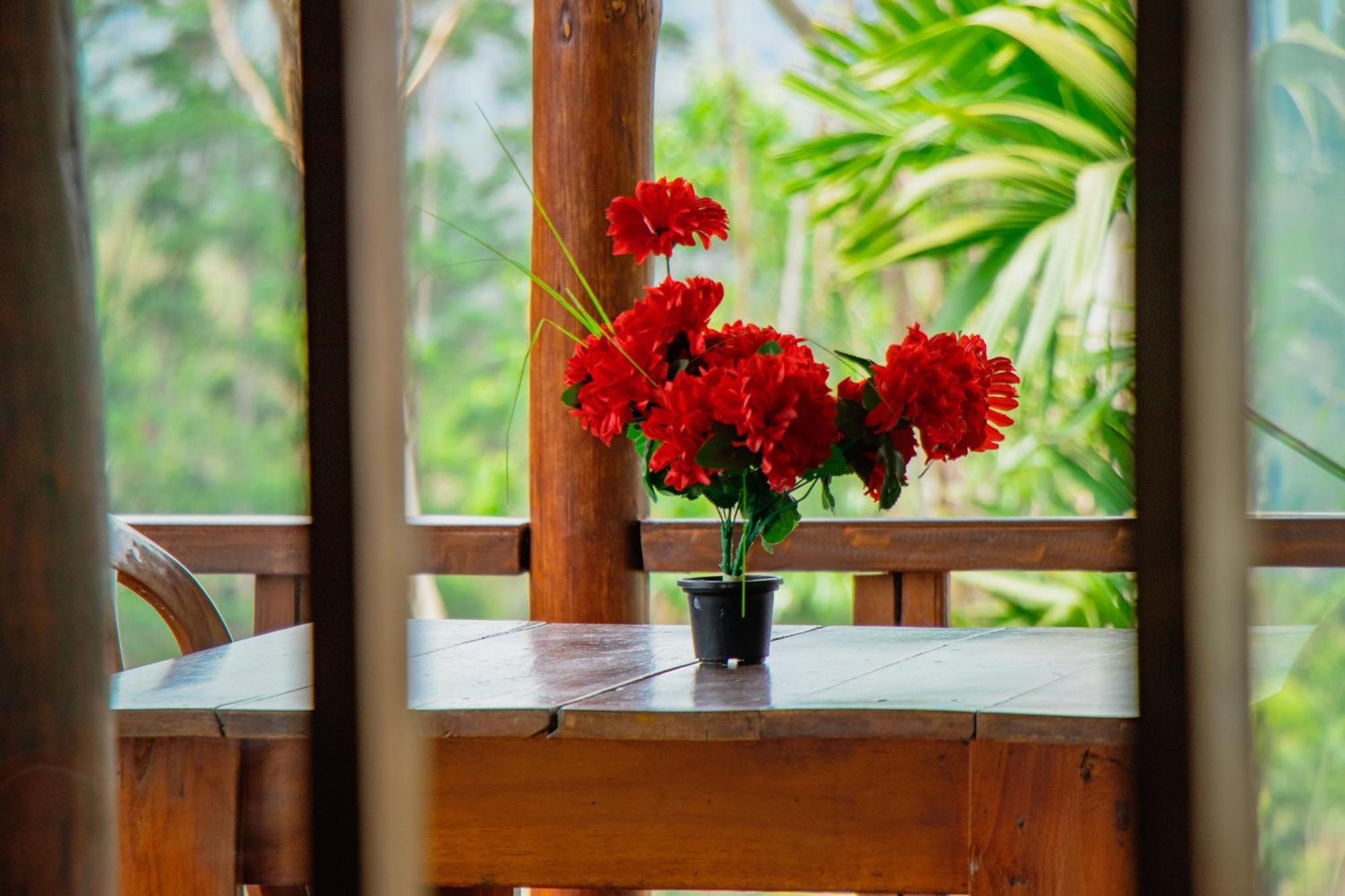 The Sunshine Ella Apartment Luaran gambar