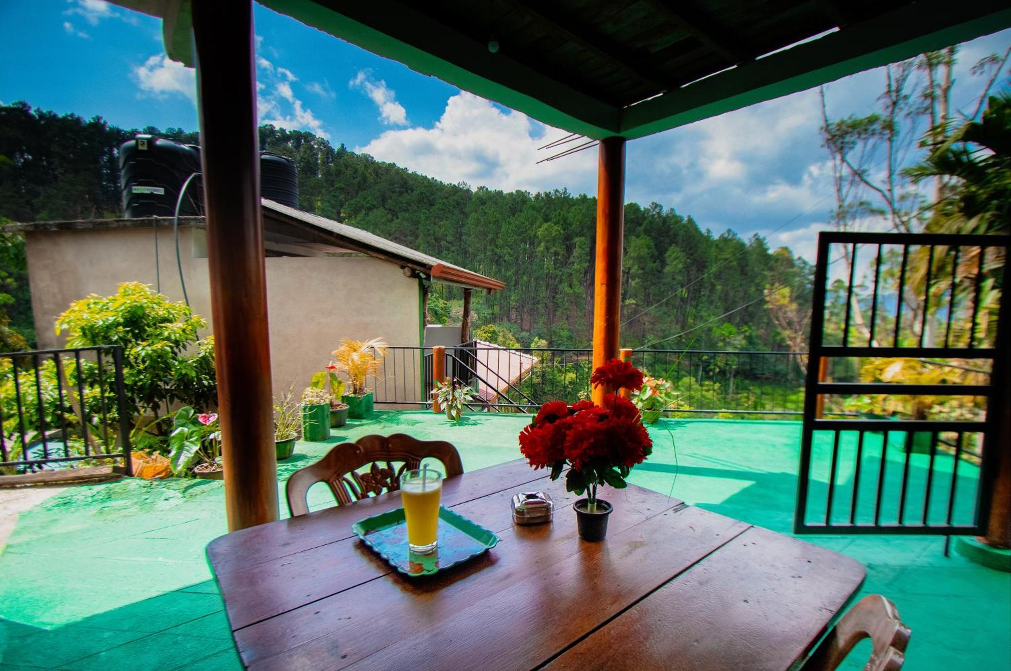 The Sunshine Ella Apartment Luaran gambar